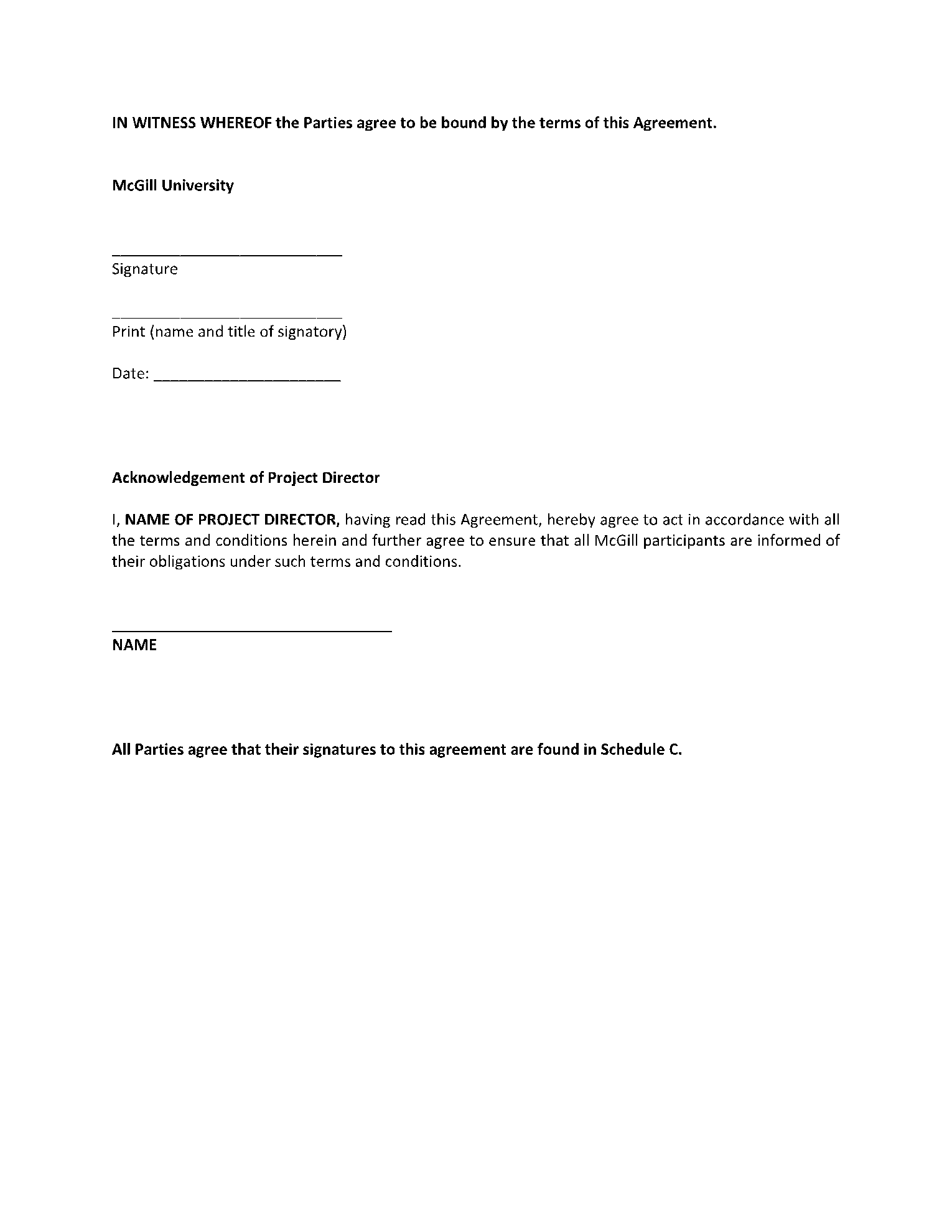 Collaboration Agreement Template 8